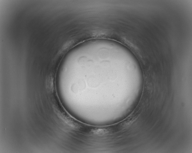 X0000062900067200601271724