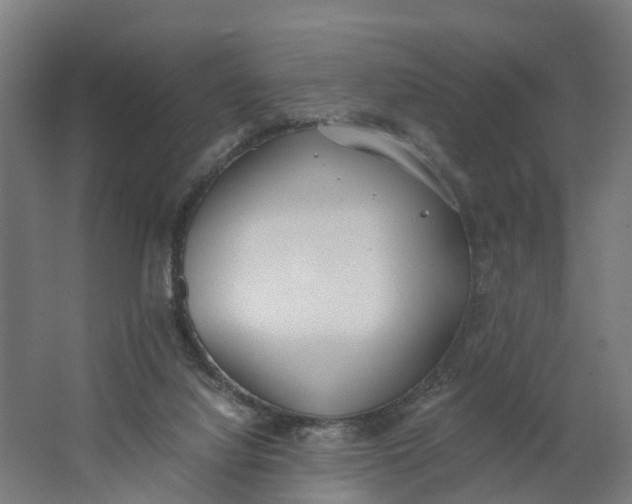 X0000062900068200601271724