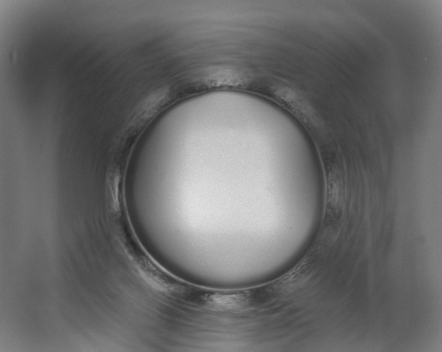 X0000062900070200601271724