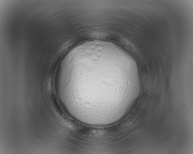 X0000062900071200601271724