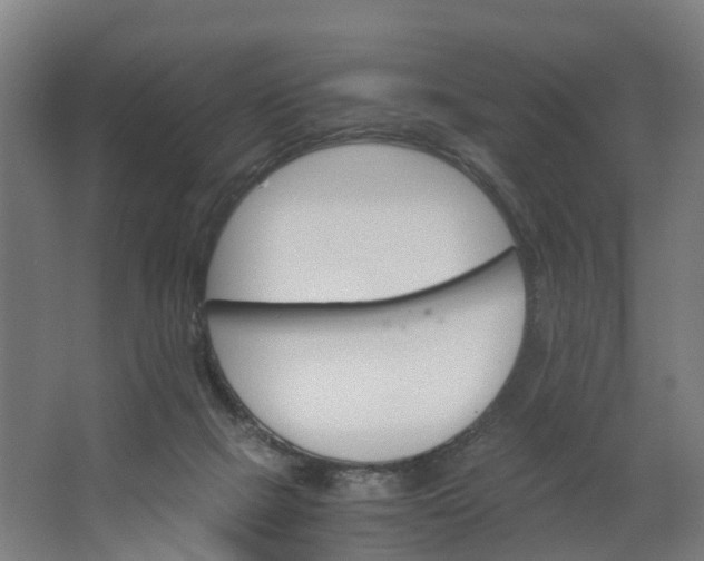 X0000062900073200601271724