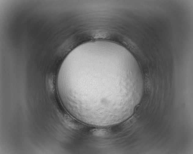 X0000062900074200601271724