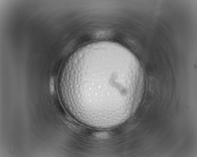 X0000062900075200601271724