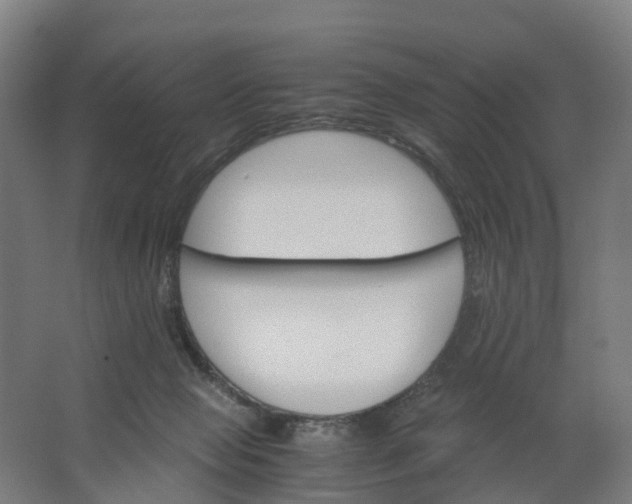 X0000062900077200601271724