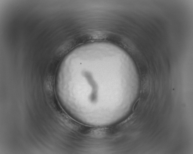 X0000062900078200601271724