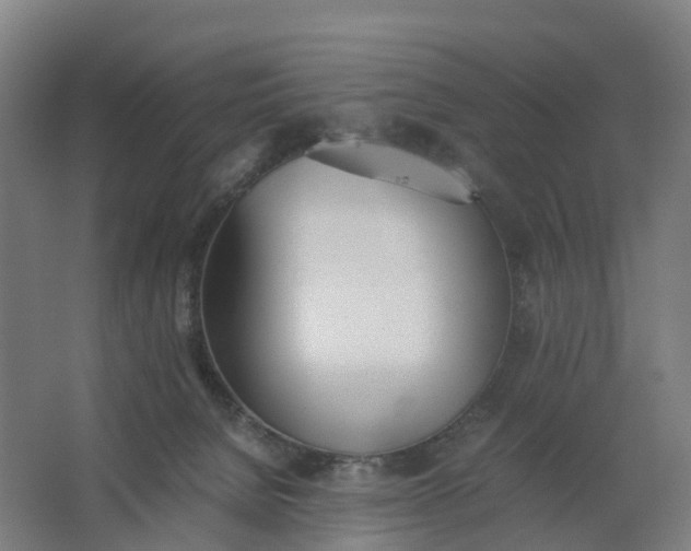 X0000062900080200601271724