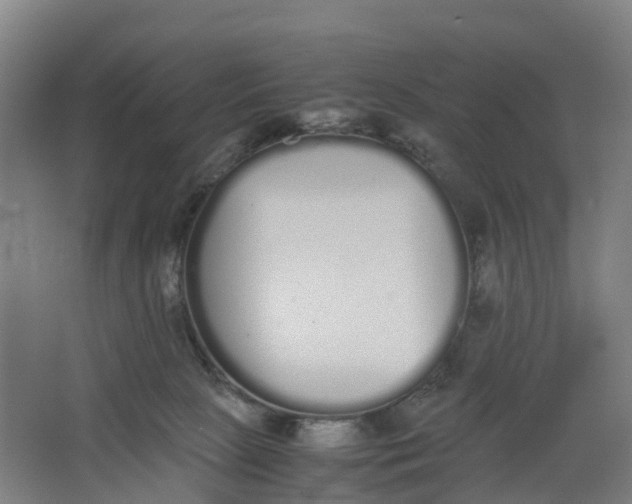 X0000062900081200601271724