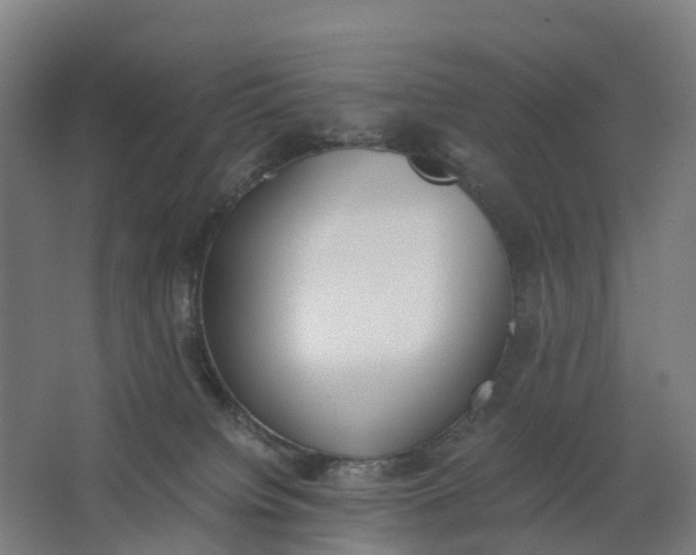 X0000062900084200601271724