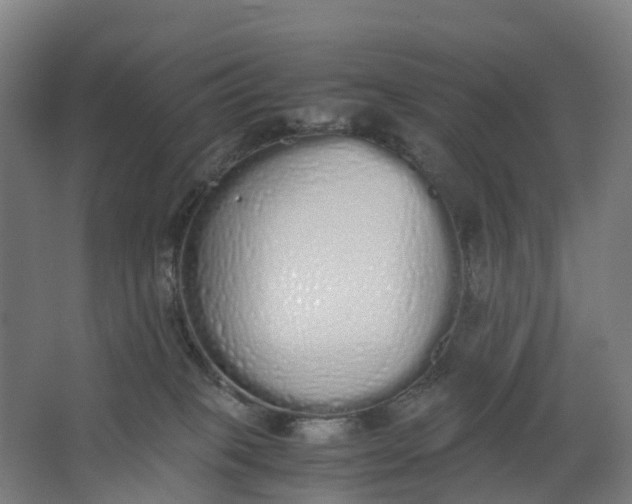 X0000062900085200601271725