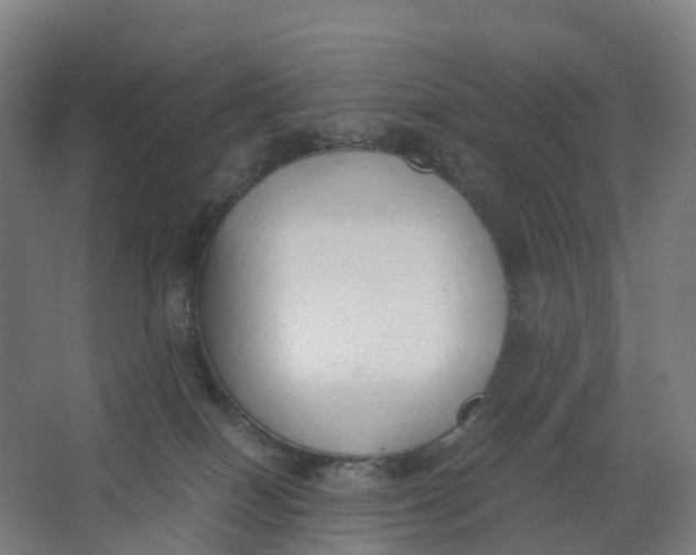 X0000062900086200601271725