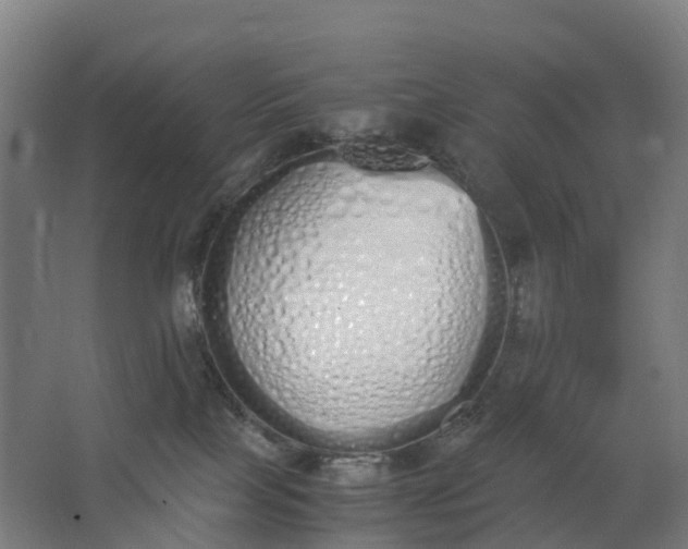 X0000062900089200601271725