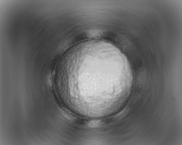 X0000062900090200601271725