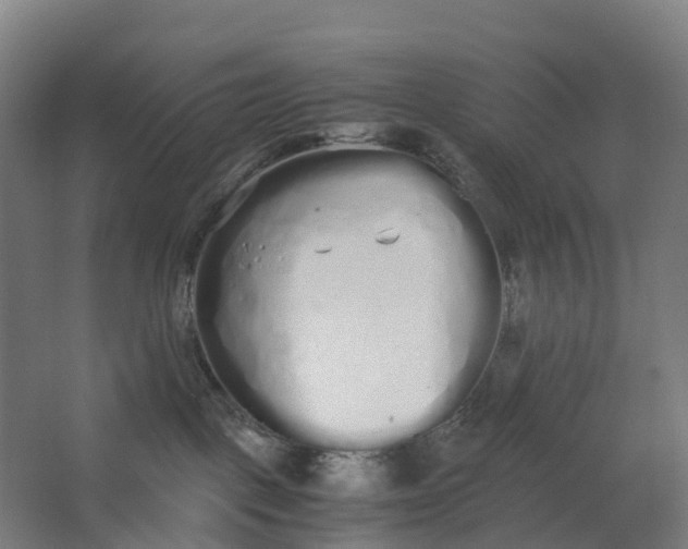 X0000062900093200601271725