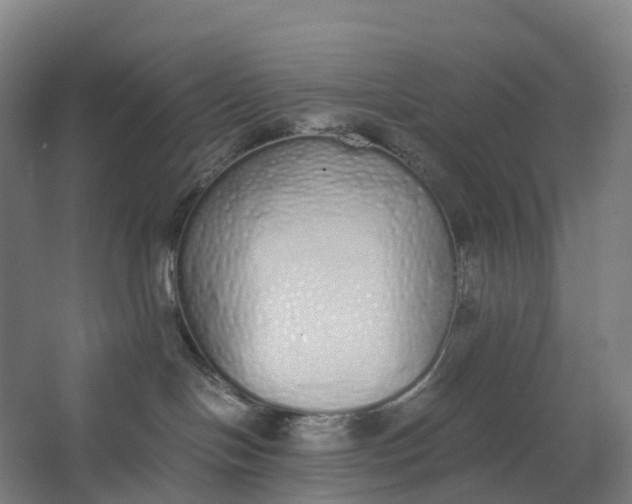 X0000062900094200601271725