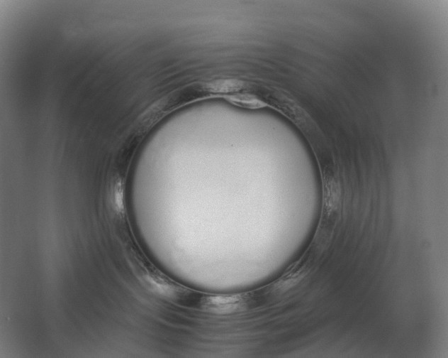 X0000062900095200601271725