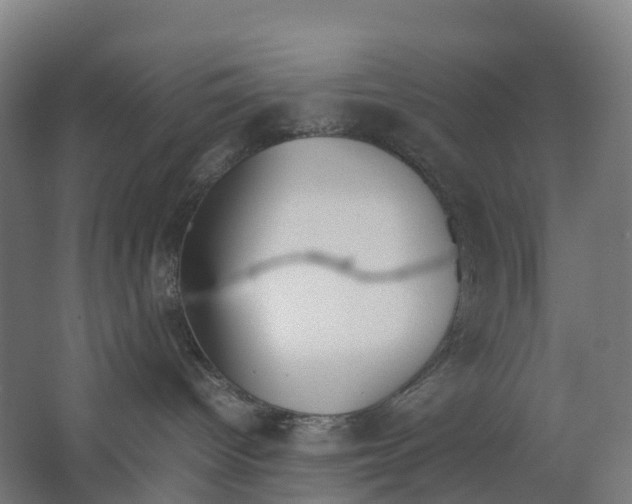 X0000062900096200601271725