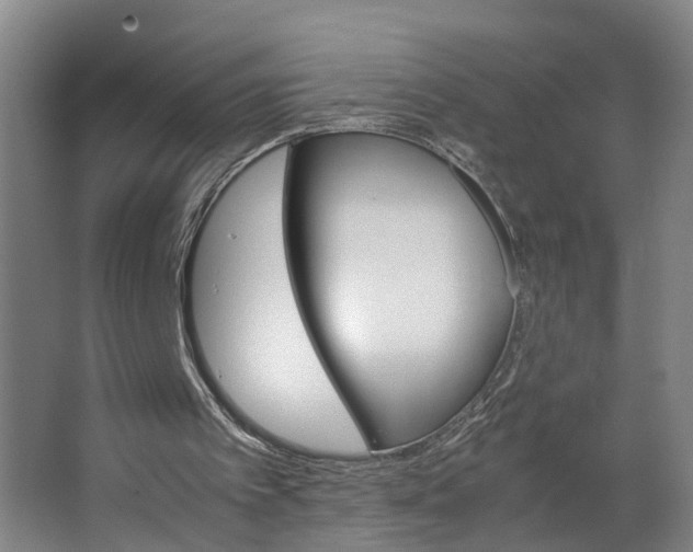 X0000062900097200601271724