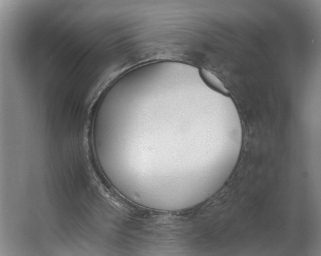 X0000062900098200601271724