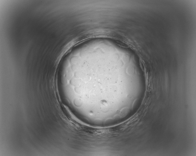 X0000062900099200601271724