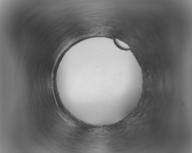 X0000062900100200601271724