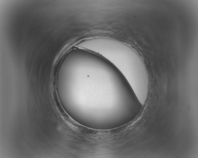 X0000062900101200601271724