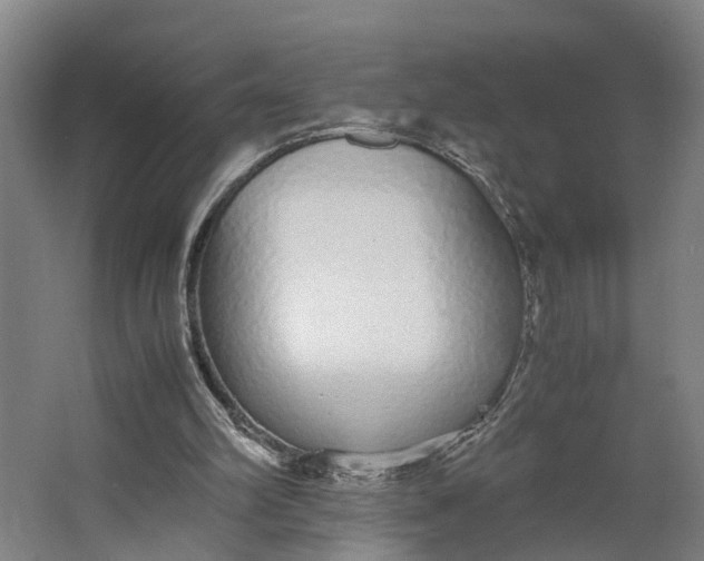 X0000062900102200601271724