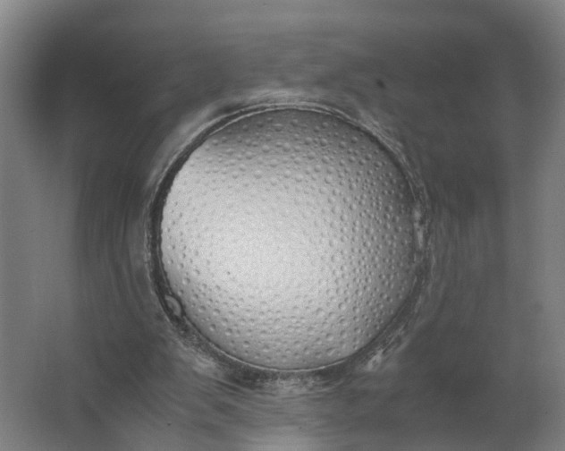 X0000062900103200601271724