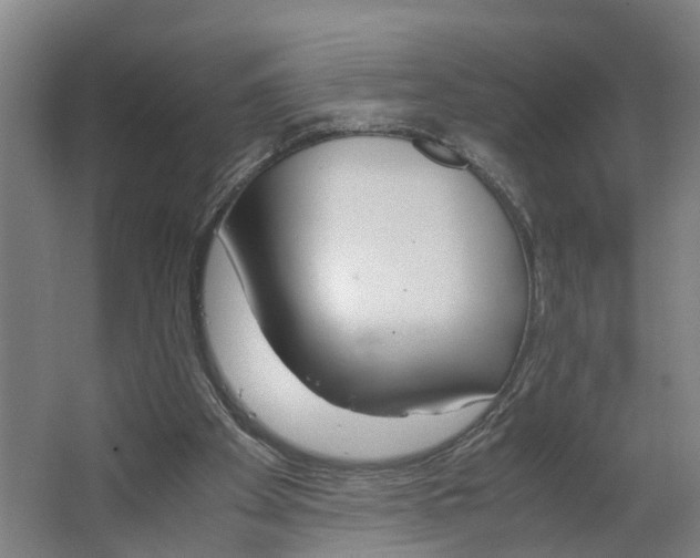 X0000062900105200601271724