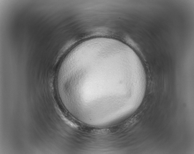 X0000062900106200601271724