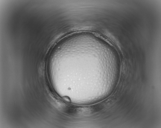 X0000062900107200601271724