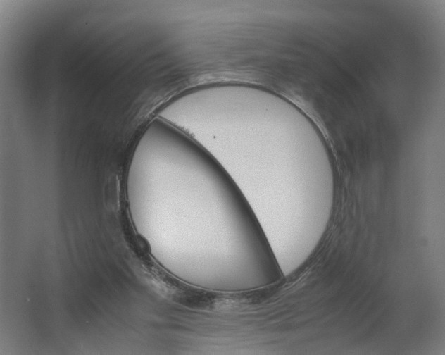 X0000062900109200601271724