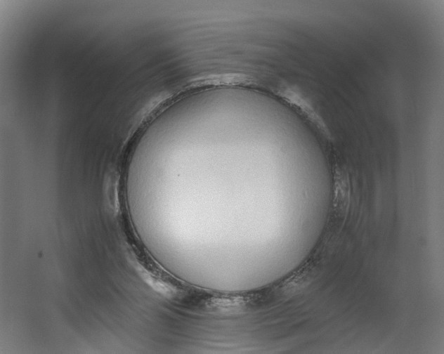 X0000062900110200601271724