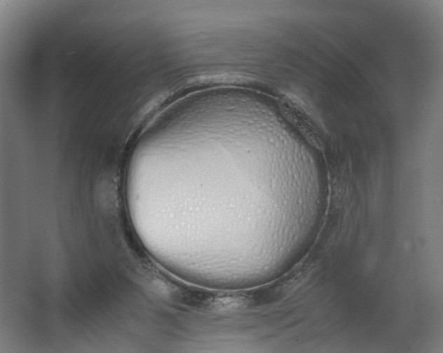 X0000062900111200601271724