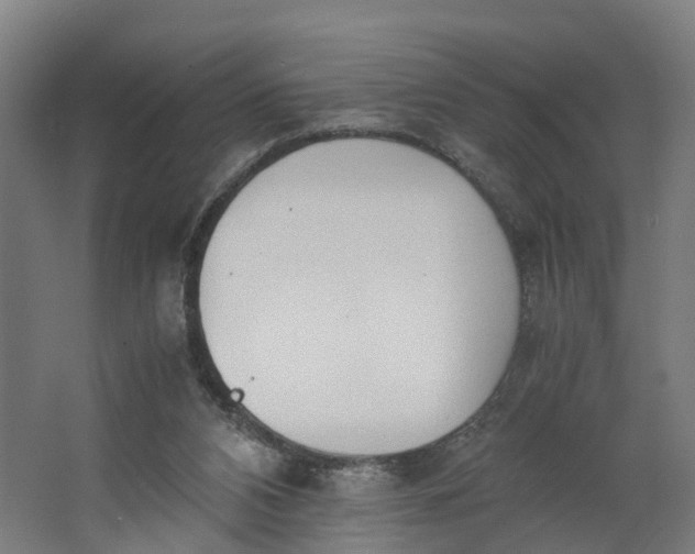 X0000062900112200601271724