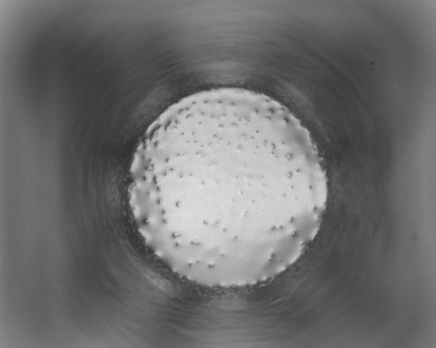 X0000062900114200601271724