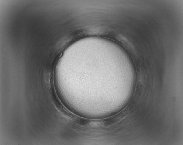 X0000062900115200601271724