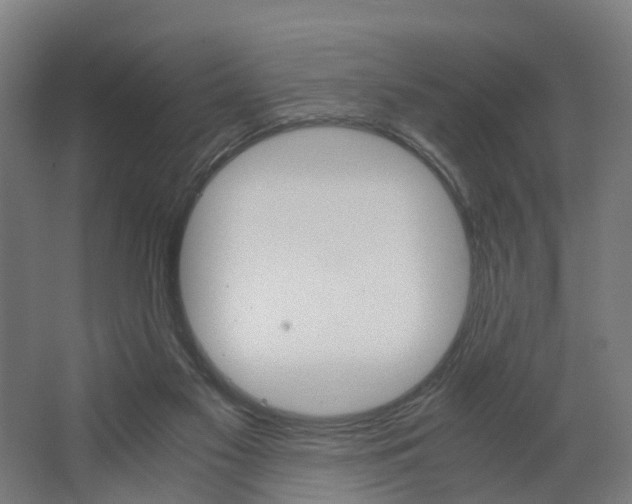 X0000062900117200601271724