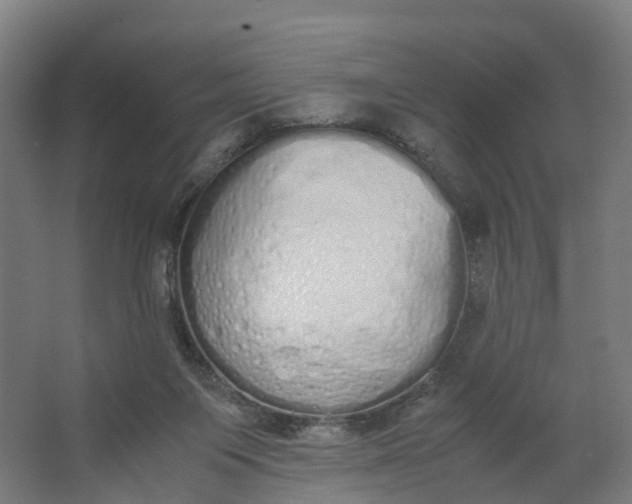 X0000062900119200601271724