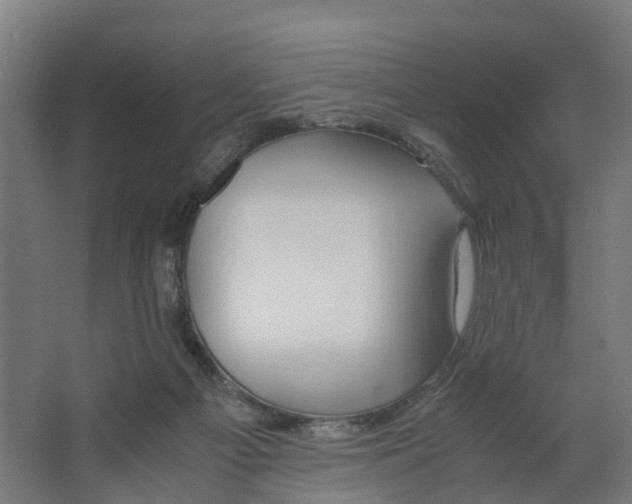 X0000062900121200601271723