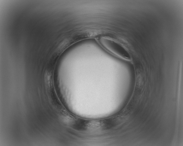 X0000062900123200601271723