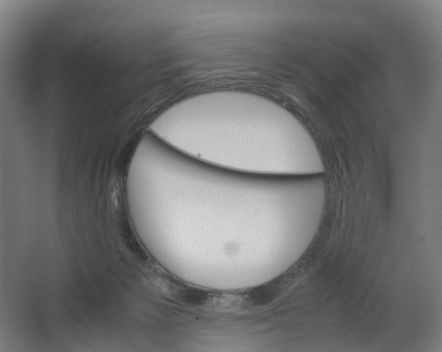 X0000062900125200601271723