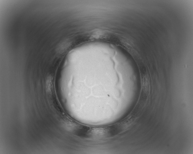 X0000062900127200601271723