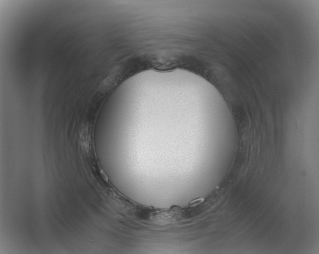 X0000062900129200601271723