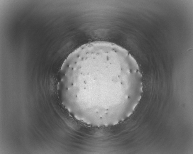 X0000062900130200601271723