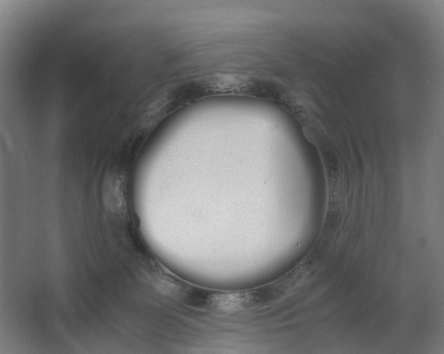 X0000062900131200601271723