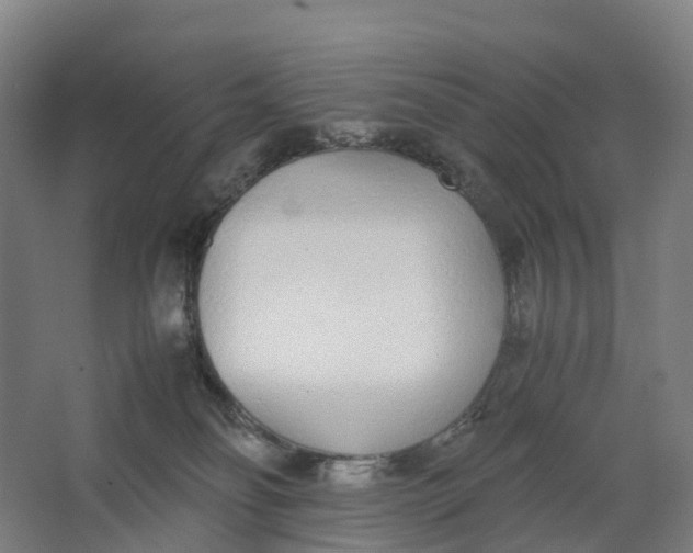 X0000062900134200601271723