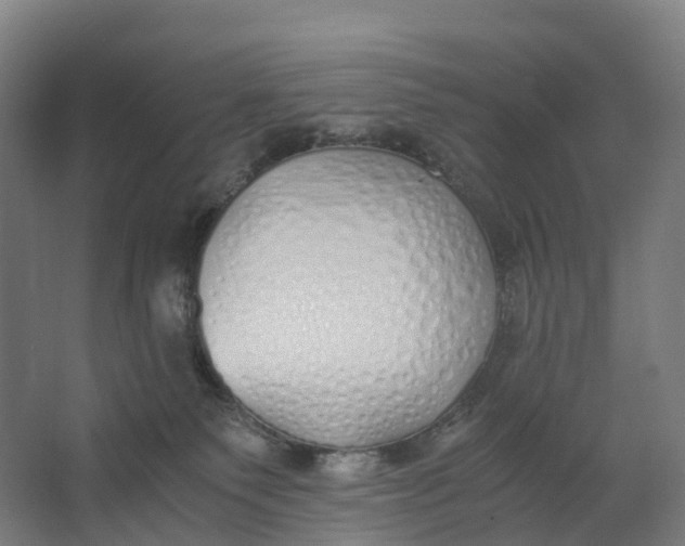 X0000062900135200601271723