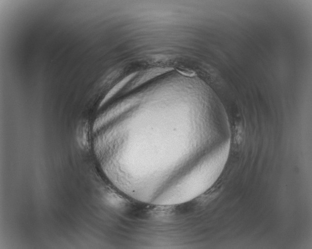 X0000062900138200601271723