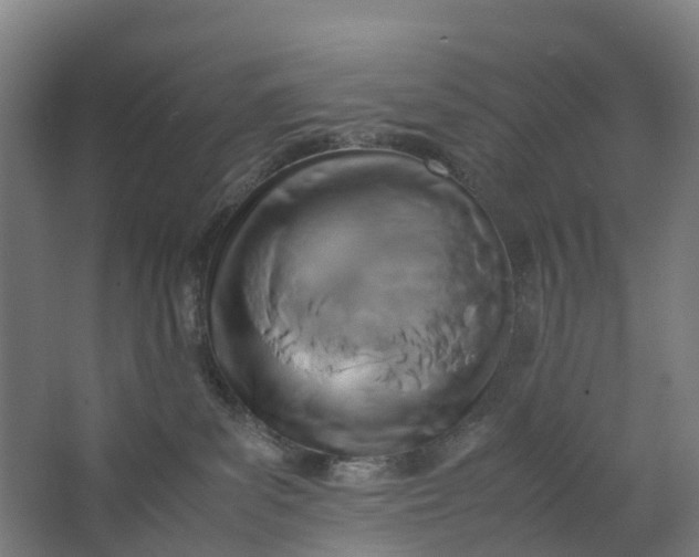 X0000062900139200601271723