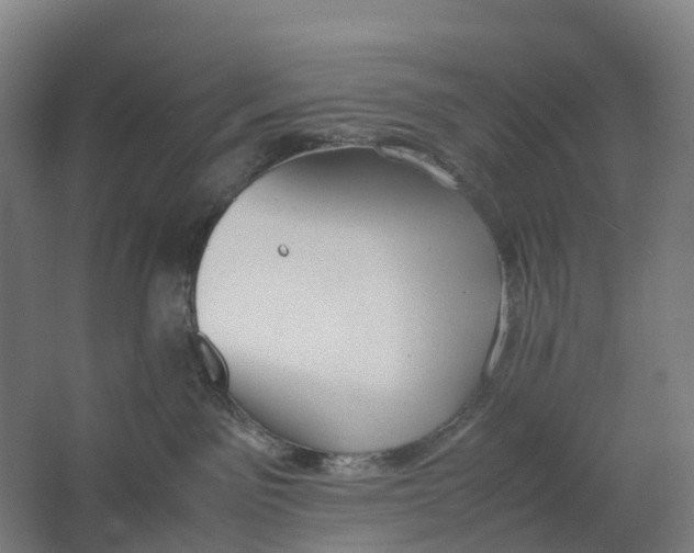 X0000062900141200601271723